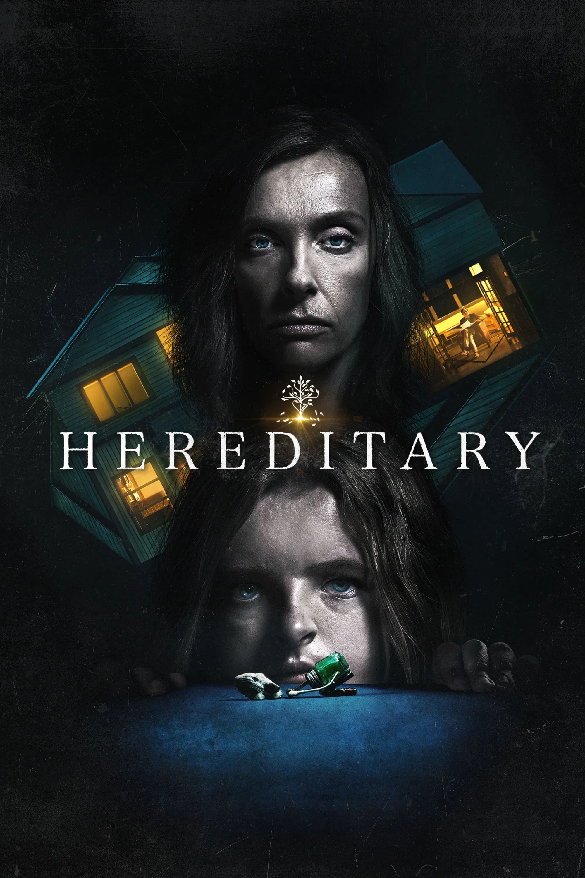 Hereditary poster