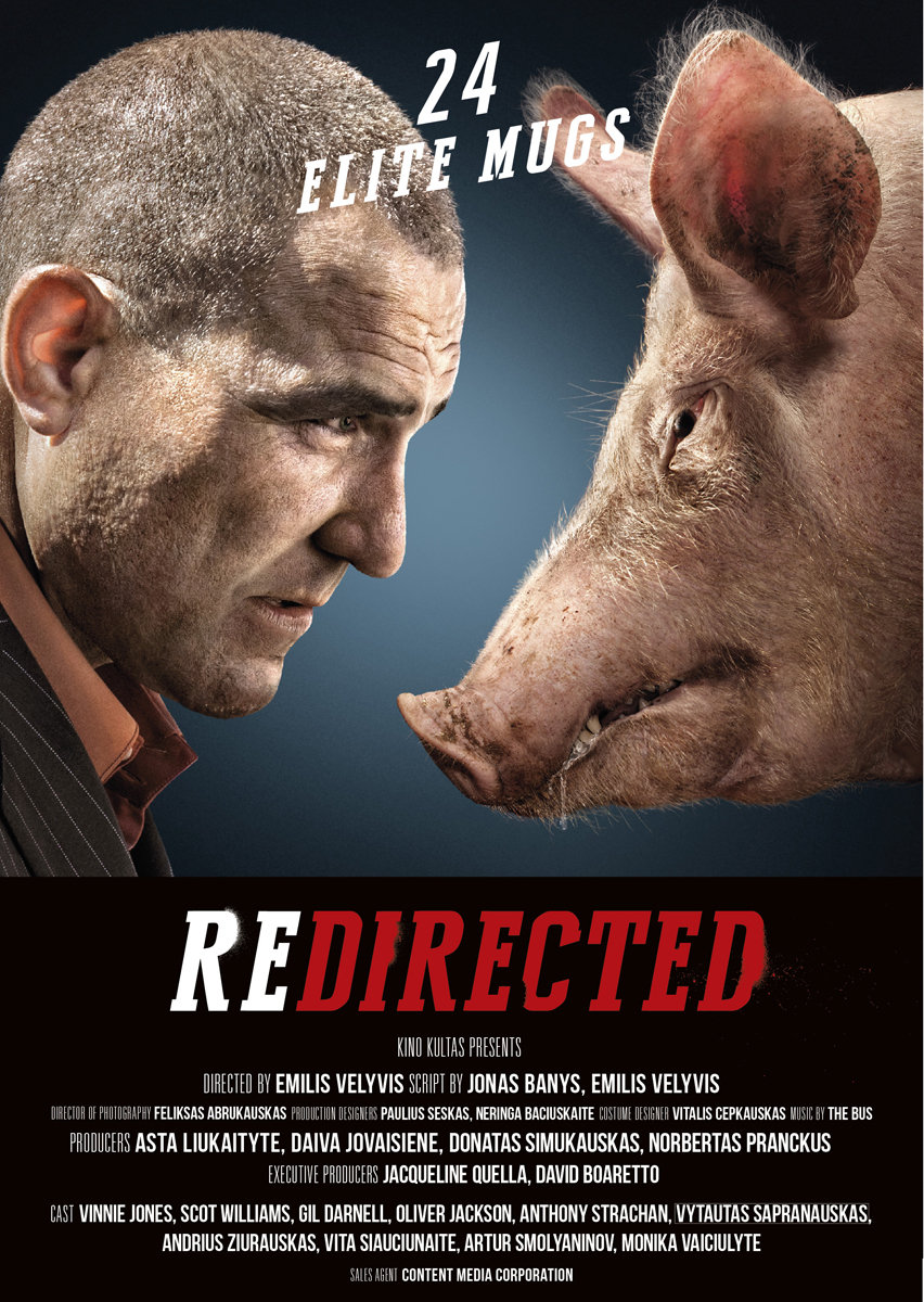 Redirected poster